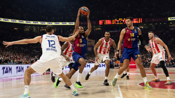 Panter spasao Barsu, pa "počastio" publiku VIDEO