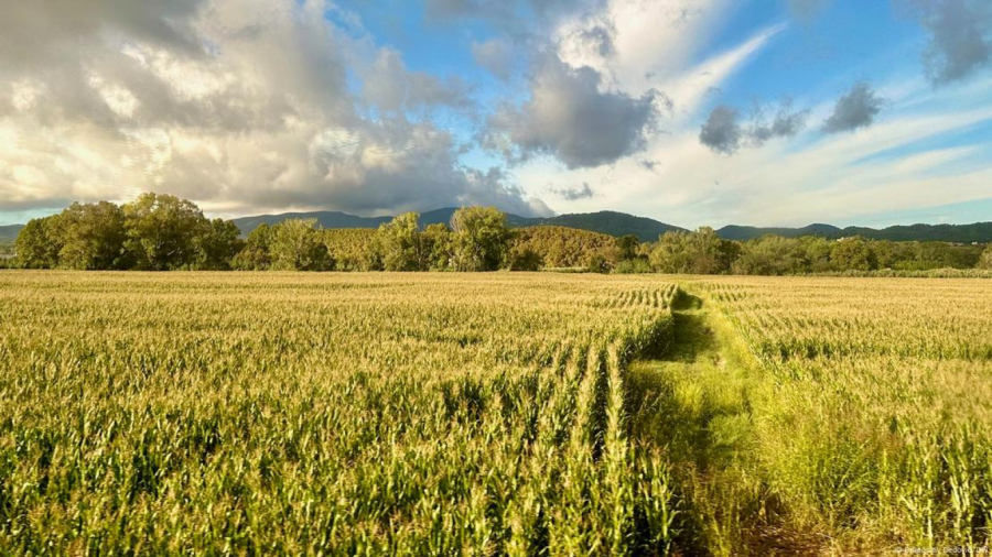 Đirona – lepotica na četiri reke FOTO