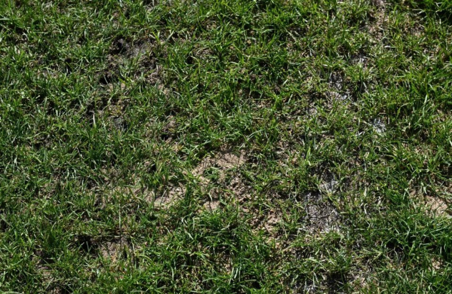 FSS u vanrednoj inspekciji Dubočice nakon kritika posle Švajcarske VIDEO