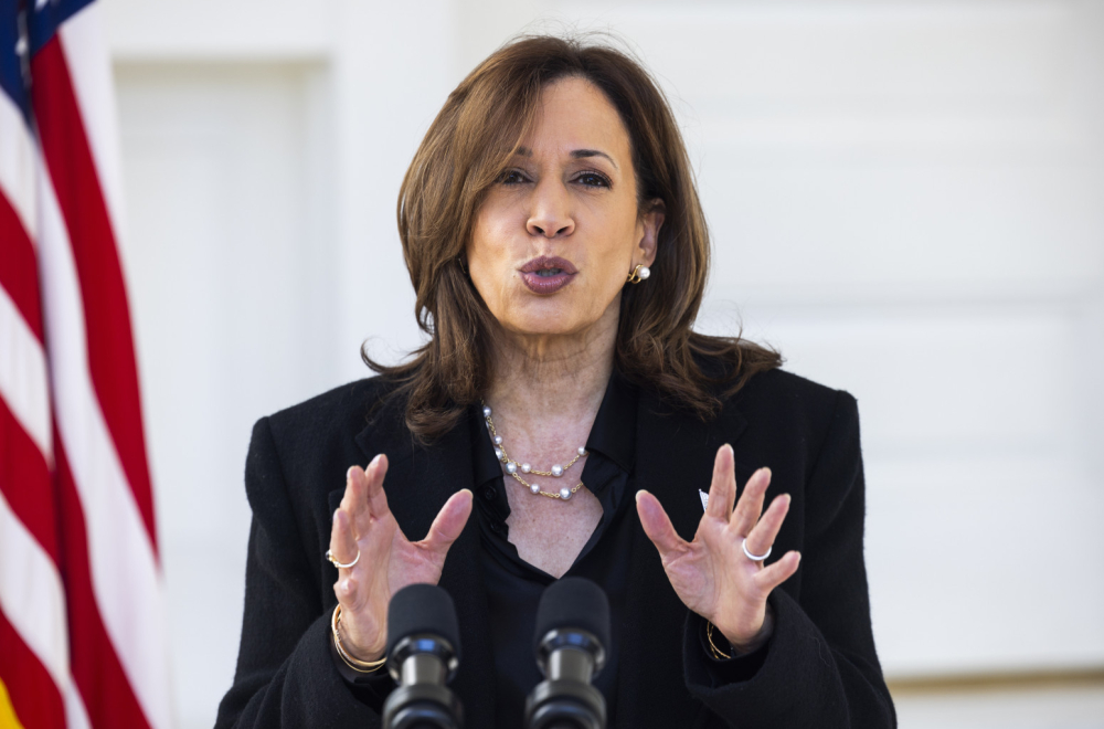 Oglasila se i Kamala: Promenila "ime" i otišla na mesto požara