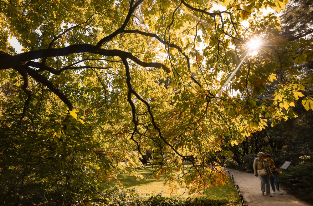 Ovo su delovi Srbije u kojima će vreme biti nestabilno