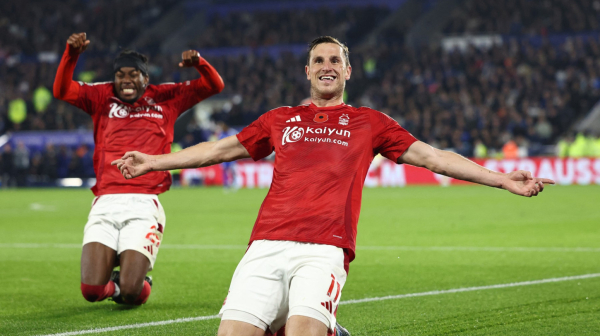 Vud ostaje u šumi do 2027. godine