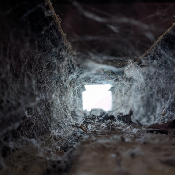 Pobegli iz tunela, a onda su ubijeni – među njima i komandant?