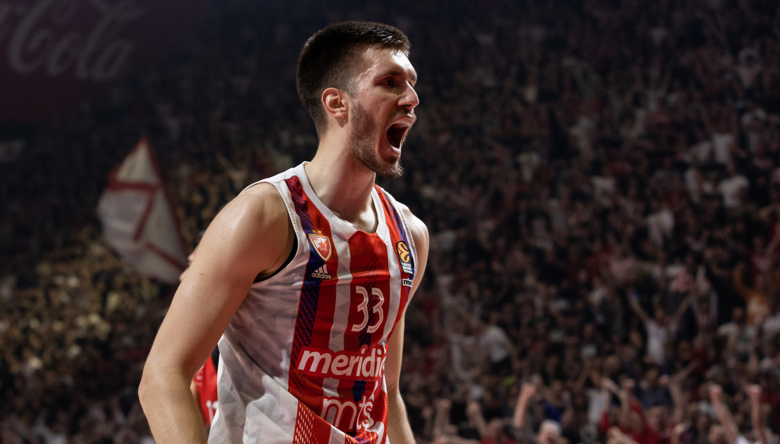 Petrušev – to je ono što je trebalo Zvezdi