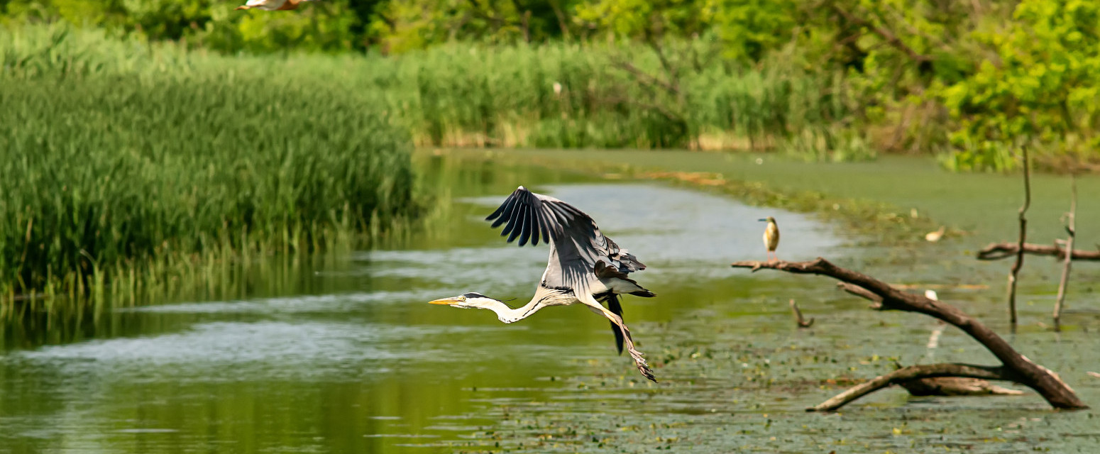 Ovo je jedno od najlepših mesta u Srbiji; Malo ko zna za njega, a važno je za celu Evropu