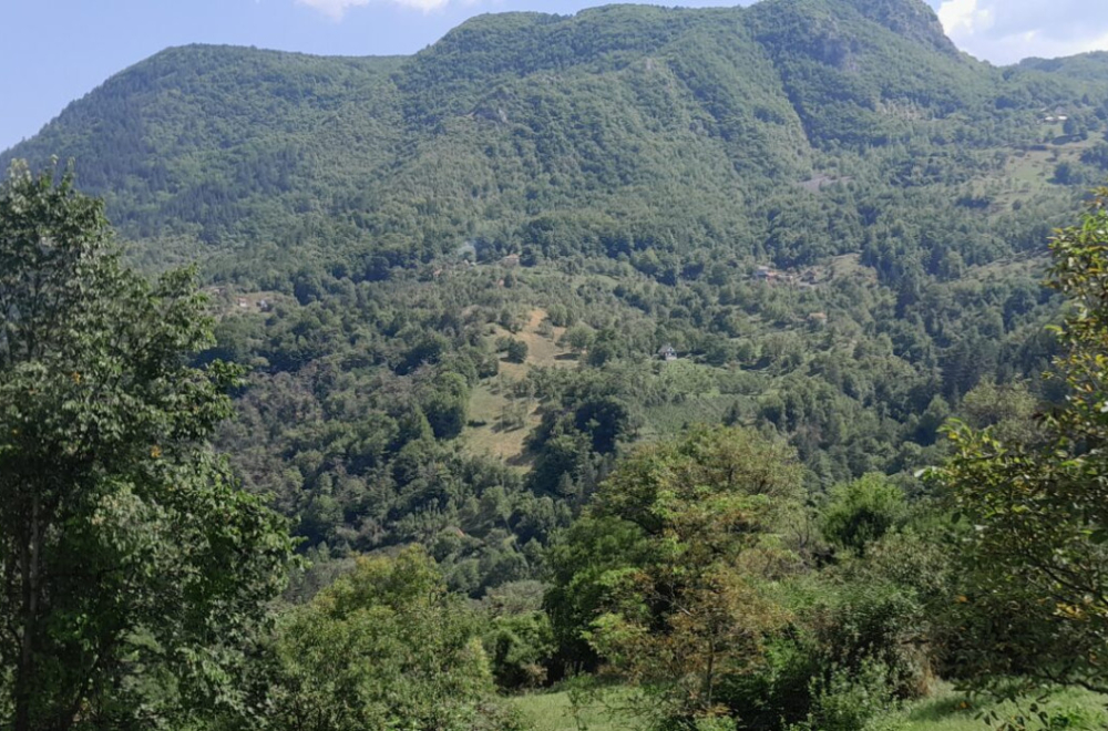 Poznati novi detalji: Alarm širom države – sve vri od policije FOTO/VIDEO