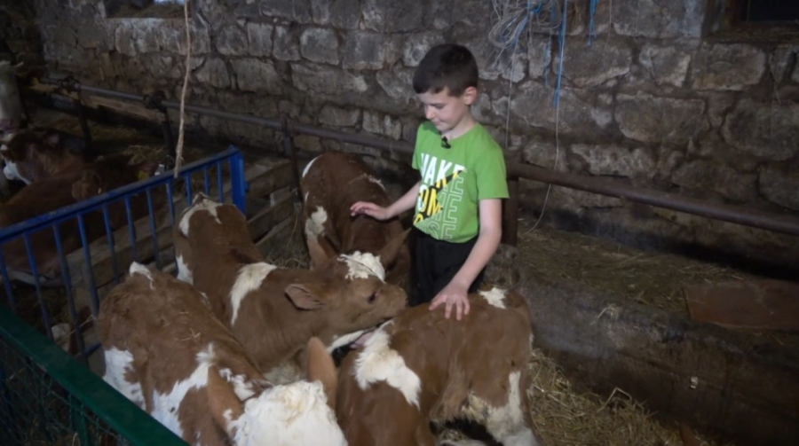 Najmlađi farmer u Srbiji: Ono što mali Desimir radi smeju samo veterinari FOTO/VIDEO