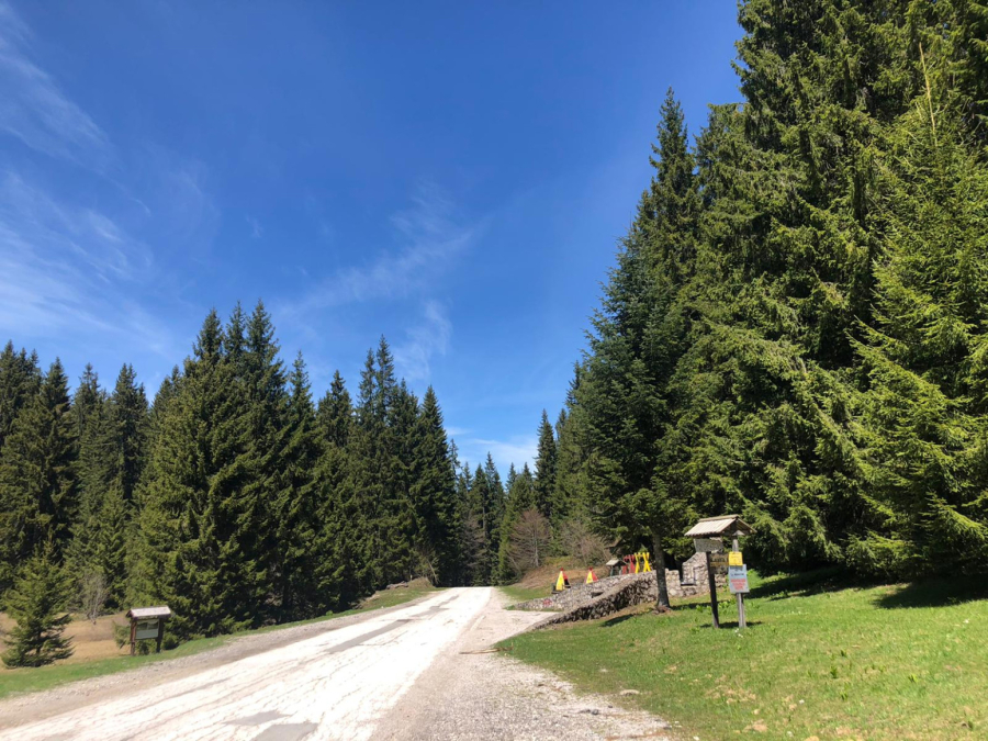 Ova nepravedno zapostavljena planina u Srbiji je pravo blago: Ima specifičnu klimu i bujne šume FOTO