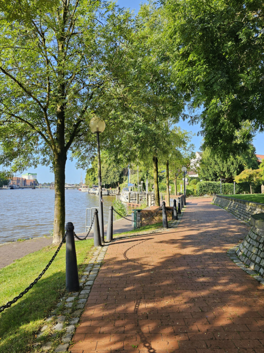 Ovde mleko u čaj sipaju u smeru suprotnom od kazaljke na satu, iz odličnog razloga FOTO