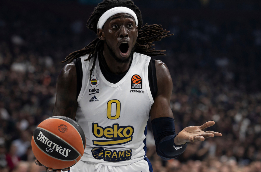 Misterija rešena – Motli pronađen na neočekivanoj lokaciji