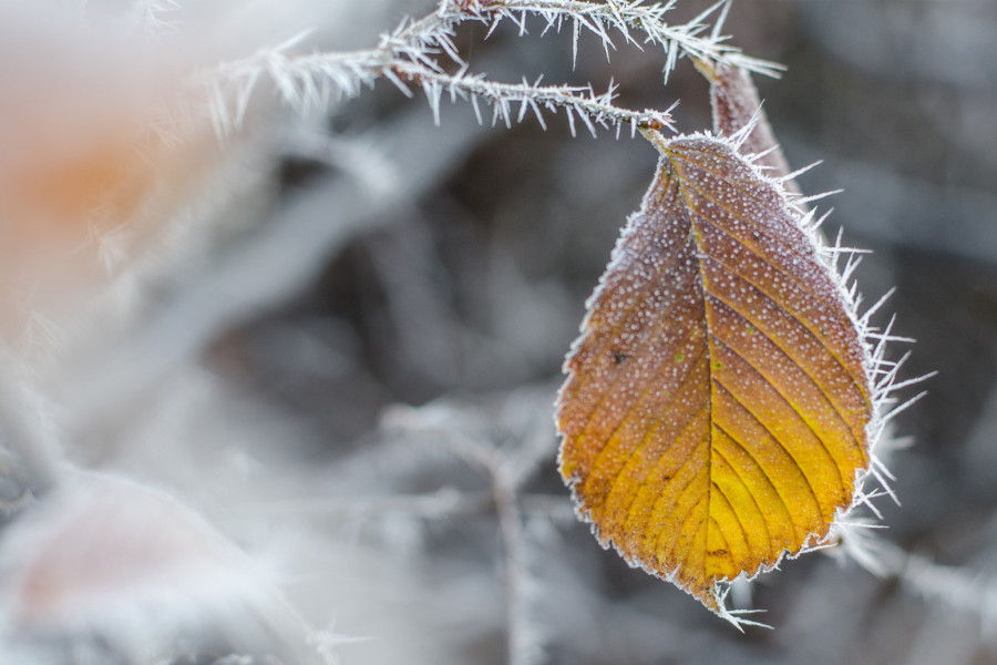 Poznato kakvo će vreme biti narednih dana – jedna pojava posebno zabrinjava FOTO