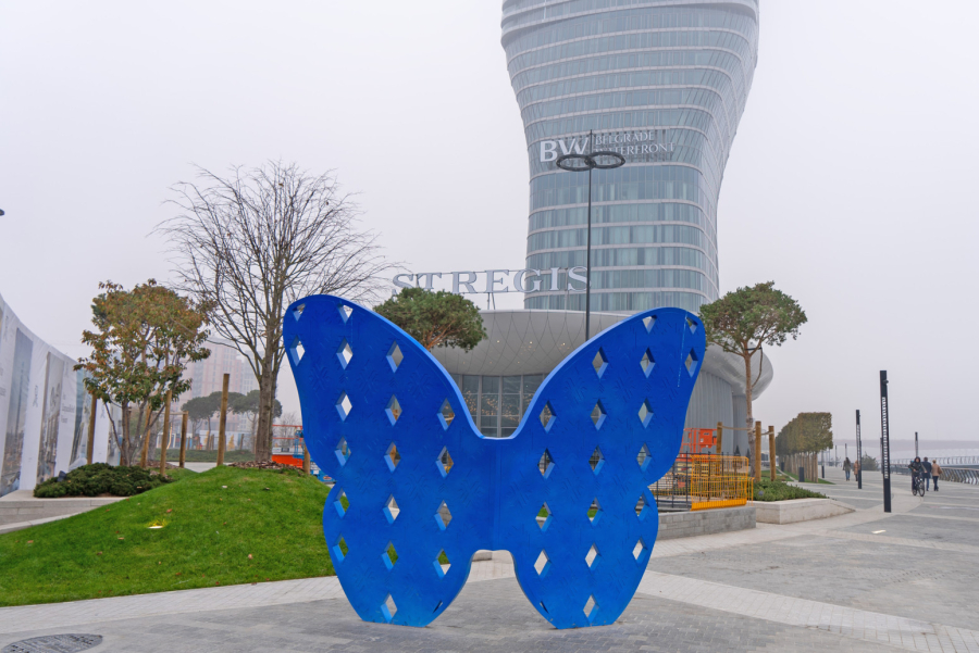 Natalijina ramonda iznikla na Sava promenadi u susret Danu primirja