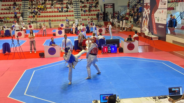 Mizerna kazna za trenera sa tzv. Kosova koji je tukao svoje dete