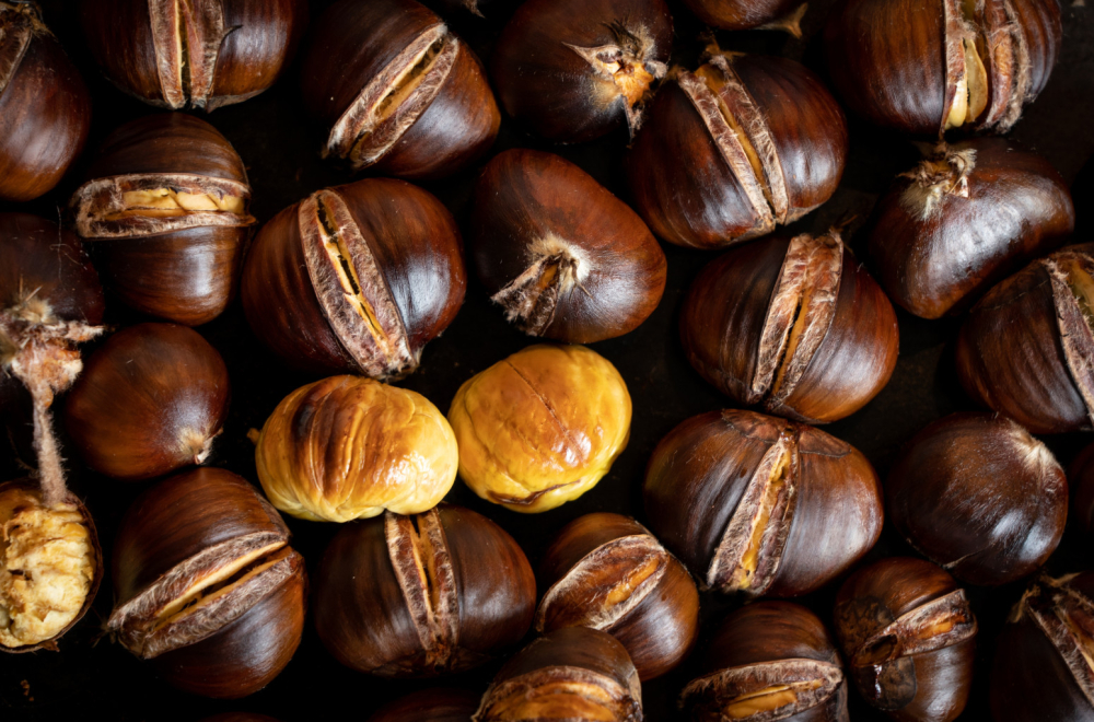 Ovo orašasto voće čuva srce i suzbija rast tumora FOTO