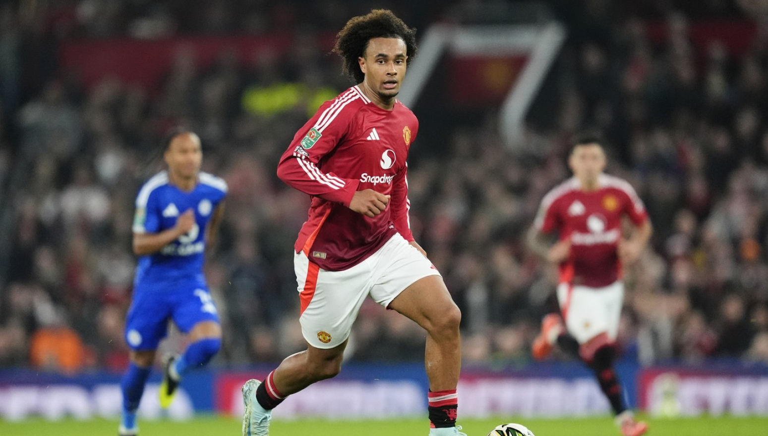 Zirkze pred povratkom u Italiju