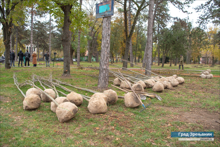 Počela rekonstrukcija jednog od najvećih parkova u Zrenjaninu FOTO