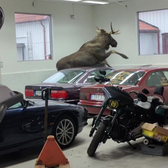 Ladno, al standard: Los upao u švedski autosalon, pogledajte štetu FOTO/VIDEO