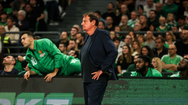 PAO "preživeo" Bolonju