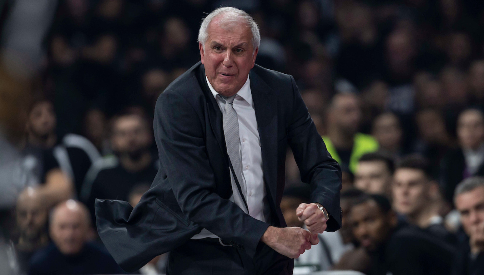 Obradović: "Opet smo izgubili zbog naših gluposti"