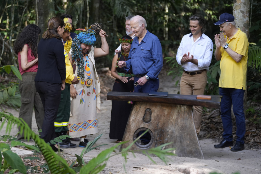 Bajden u prašumi FOTO/VIDEO