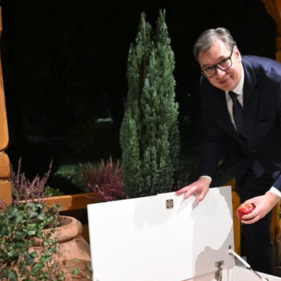 Vučić hosted Tokayev: "I received famous Kazakh apples as a gift" PHOTO