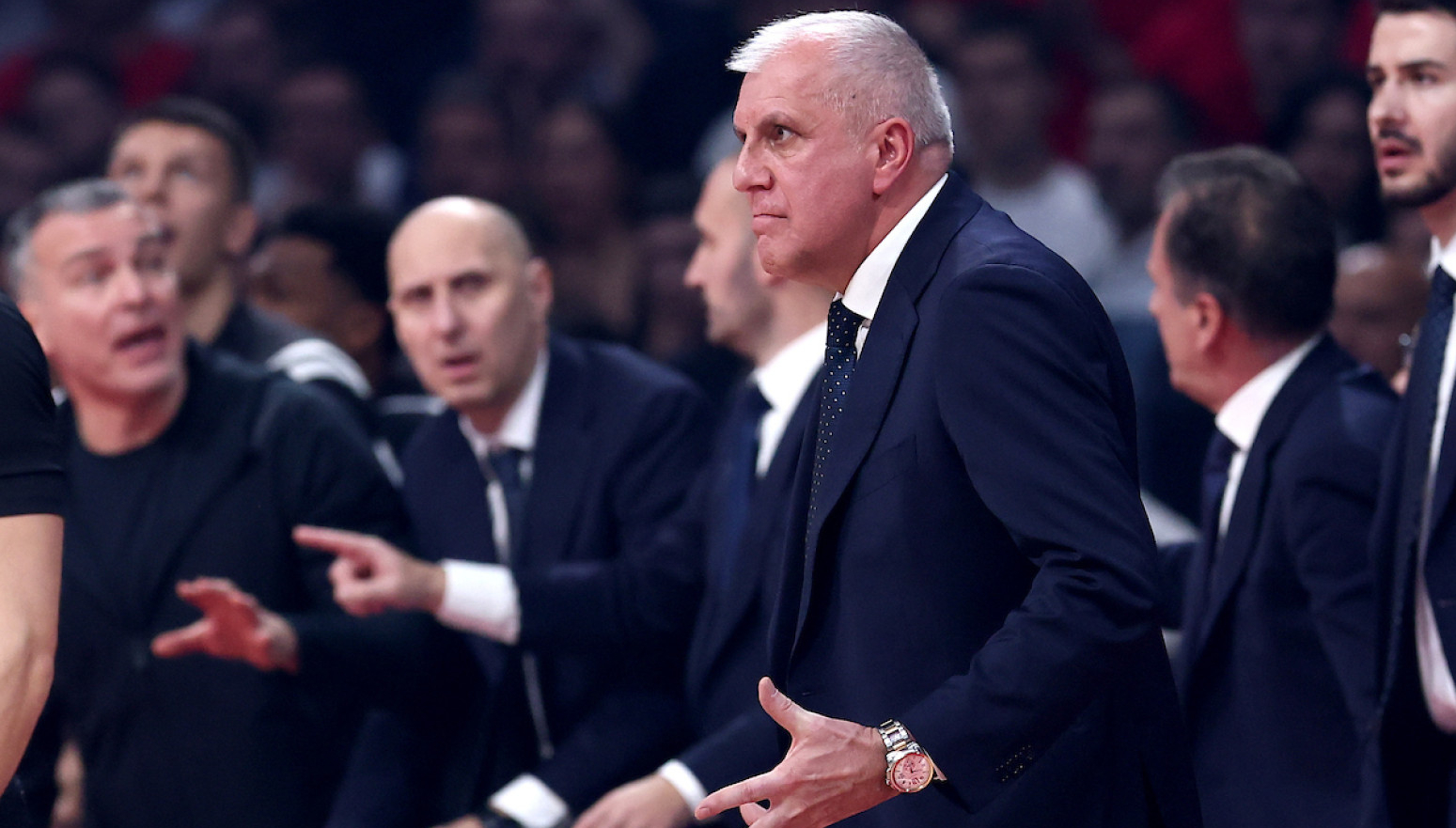 Obradović: "Protiv Zvezde je uvek specijalno"