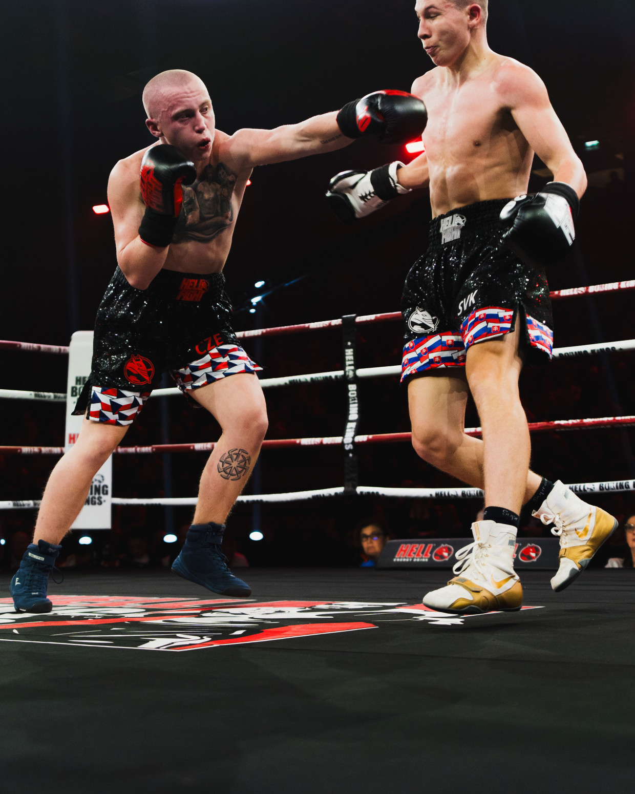 Nokauti i impresivne pobede FOTO/VIDEO