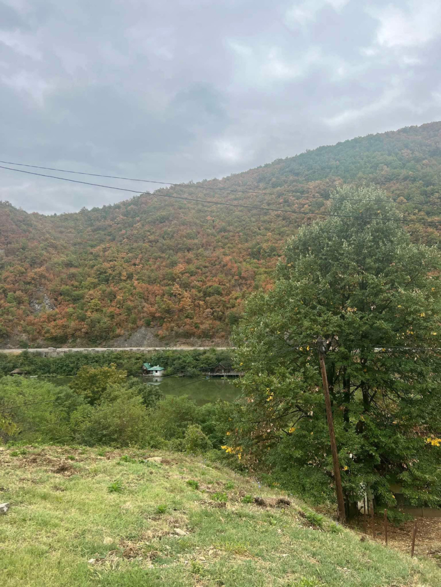 Serafim Rus je doneo ovu čudotvornu ikonu u Srbiju koja štiti mnoge: Čuva se u jednom od najlepših manastira