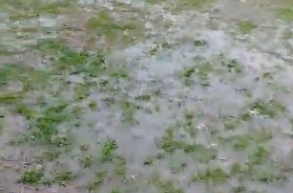 Evo zašto je odložen Zvezdin meč VIDEO