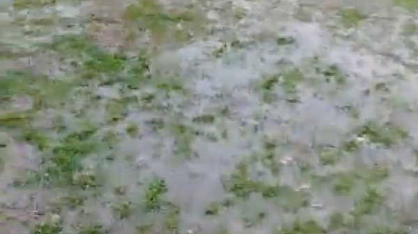 Evo zašto je odložen Zvezdin meč VIDEO