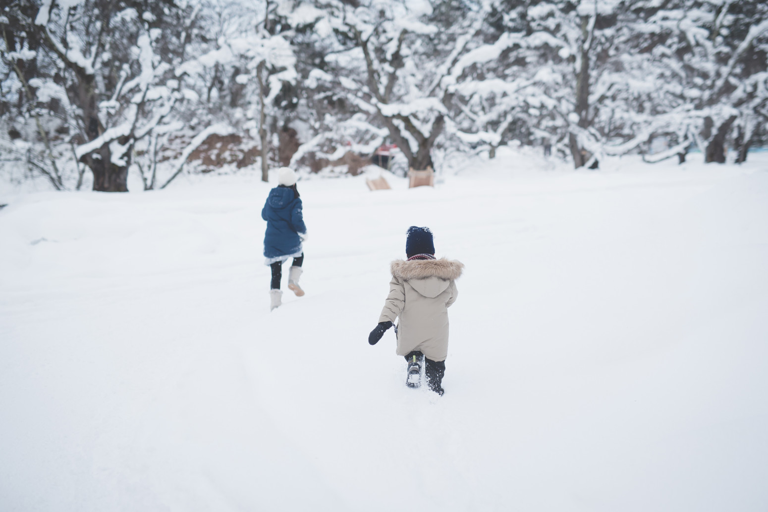 Ovako izgleda život u gradu u kojem padne najviše snega na svetu: Stalna borba FOTO