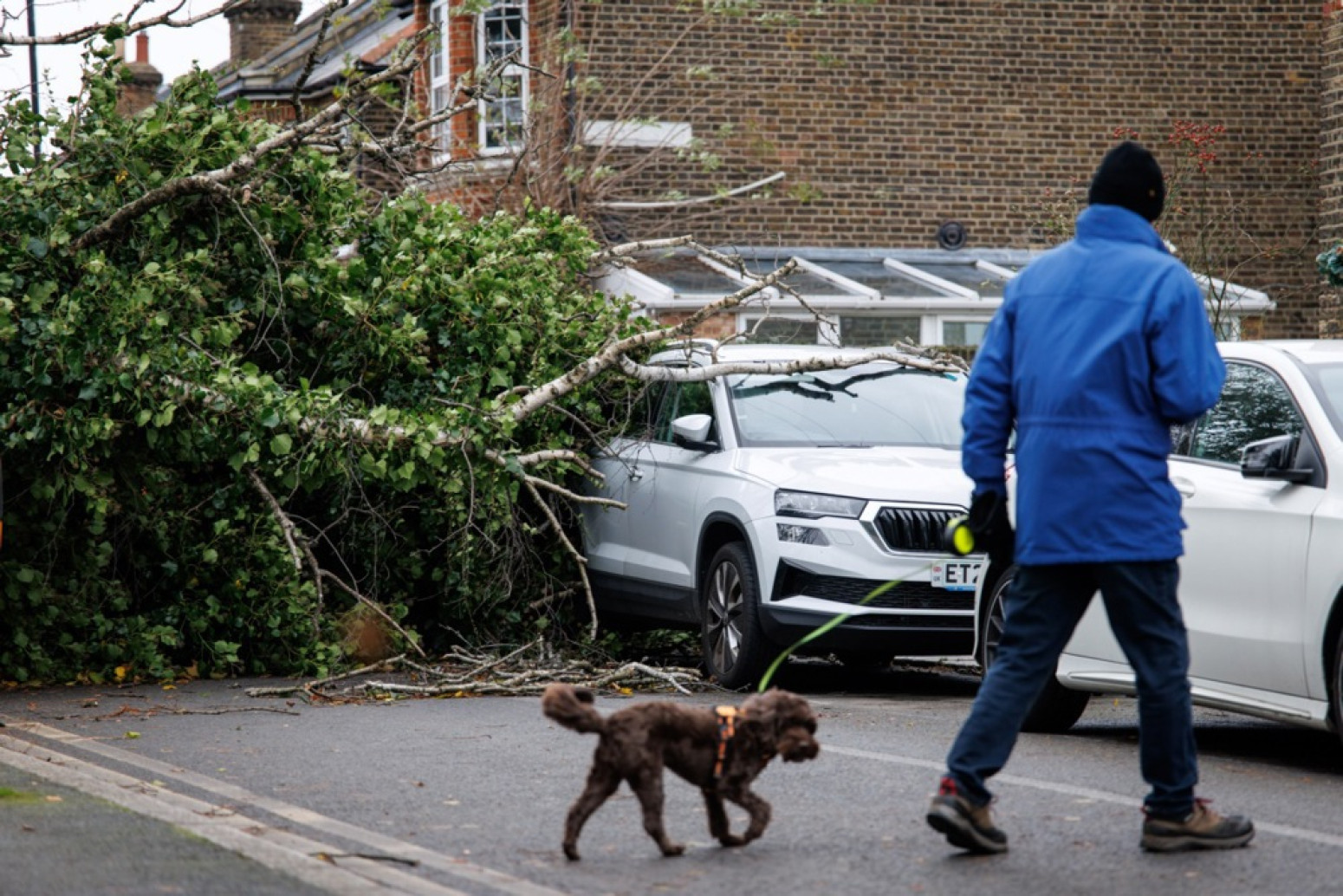 Bert besni Velikom Britanijom, ima mrtvih: Voda nosi sve pred sobom, drveće pada FOTO/VIDEO