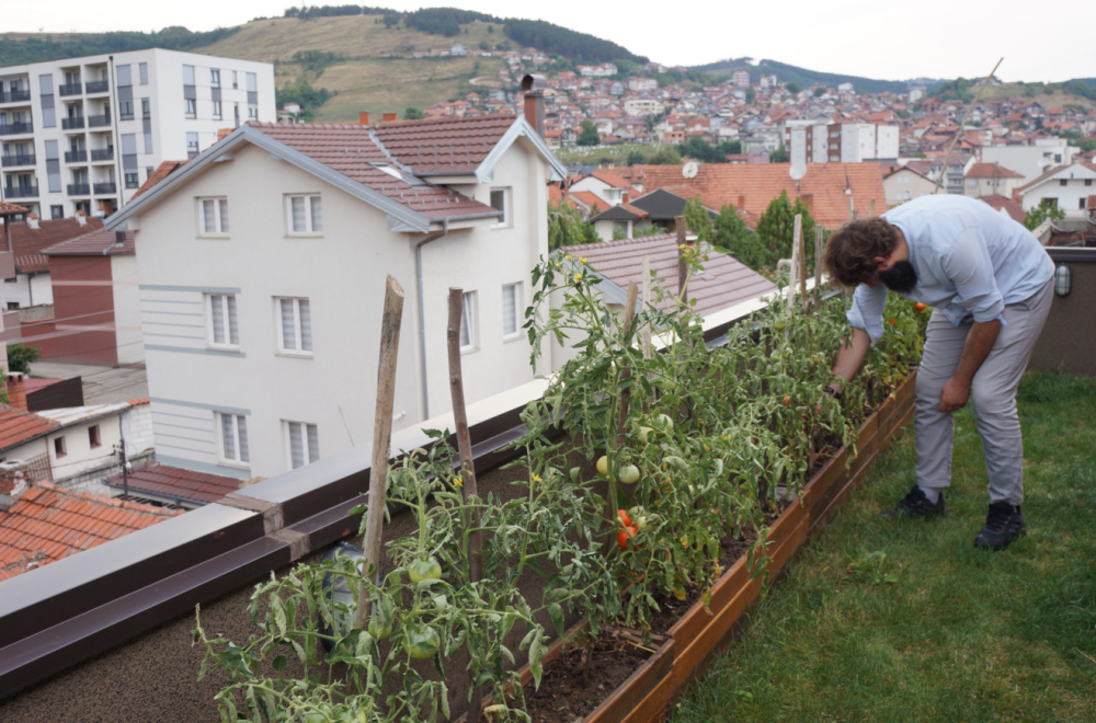 Da li ste nekada videli ovakav krov? FOTO
