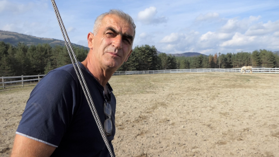 Najteži konj u Srbiji, ali i šire: Veličanstveni Medo teži više od 1.300 kilograma FOTO