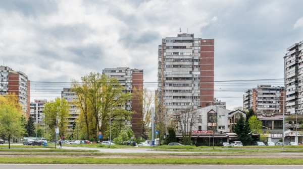 Stanari dva novobeogradska bloka zasadili 1.000 novih stabala za 5 godina