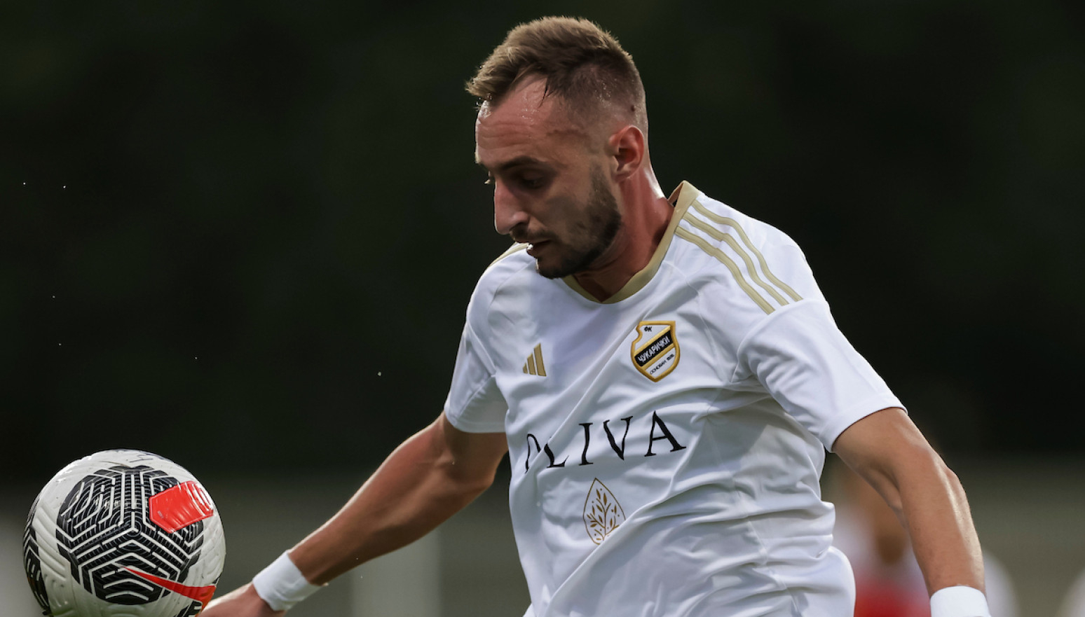 Čukarički podelio bodove sa Nišlijama