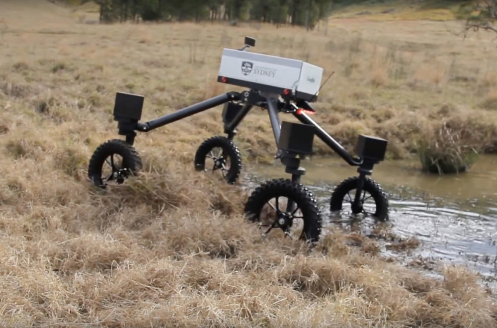 Robot AI čuva krave i pašnjake VIDEO