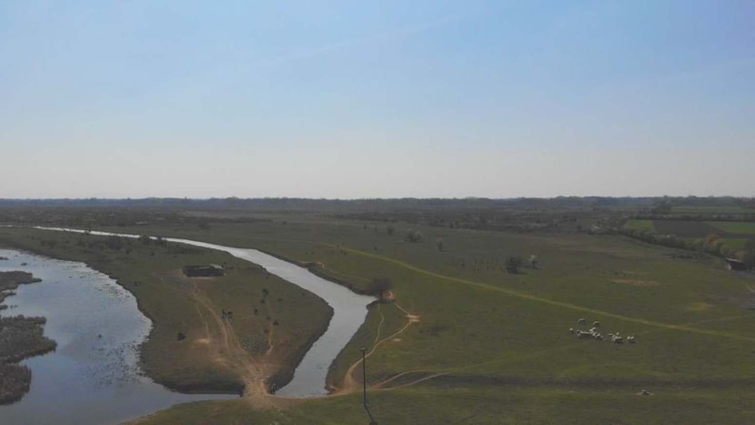 Do sada su bili ugrožena vrsta: U Srbiju stiglo krdo divljih rečnih bivola FOTO
