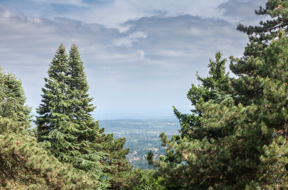 Tajna Kosmaja: Arheolozi otkrili misterioznu grobnicu