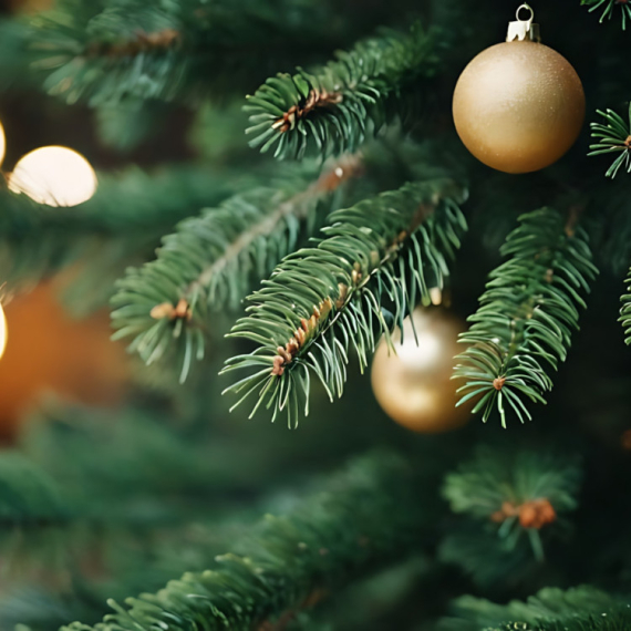 U Ohridskom jezeru postavljena novogodišnja jelka pod vodom: Posveta je posebno dirljiva FOTO