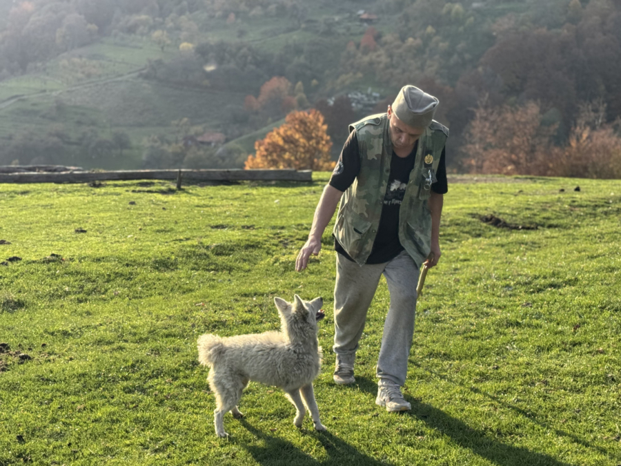 Domaćin sa Golije poklanja 10 ari zemlje: Ima samo jedan uslov FOTO