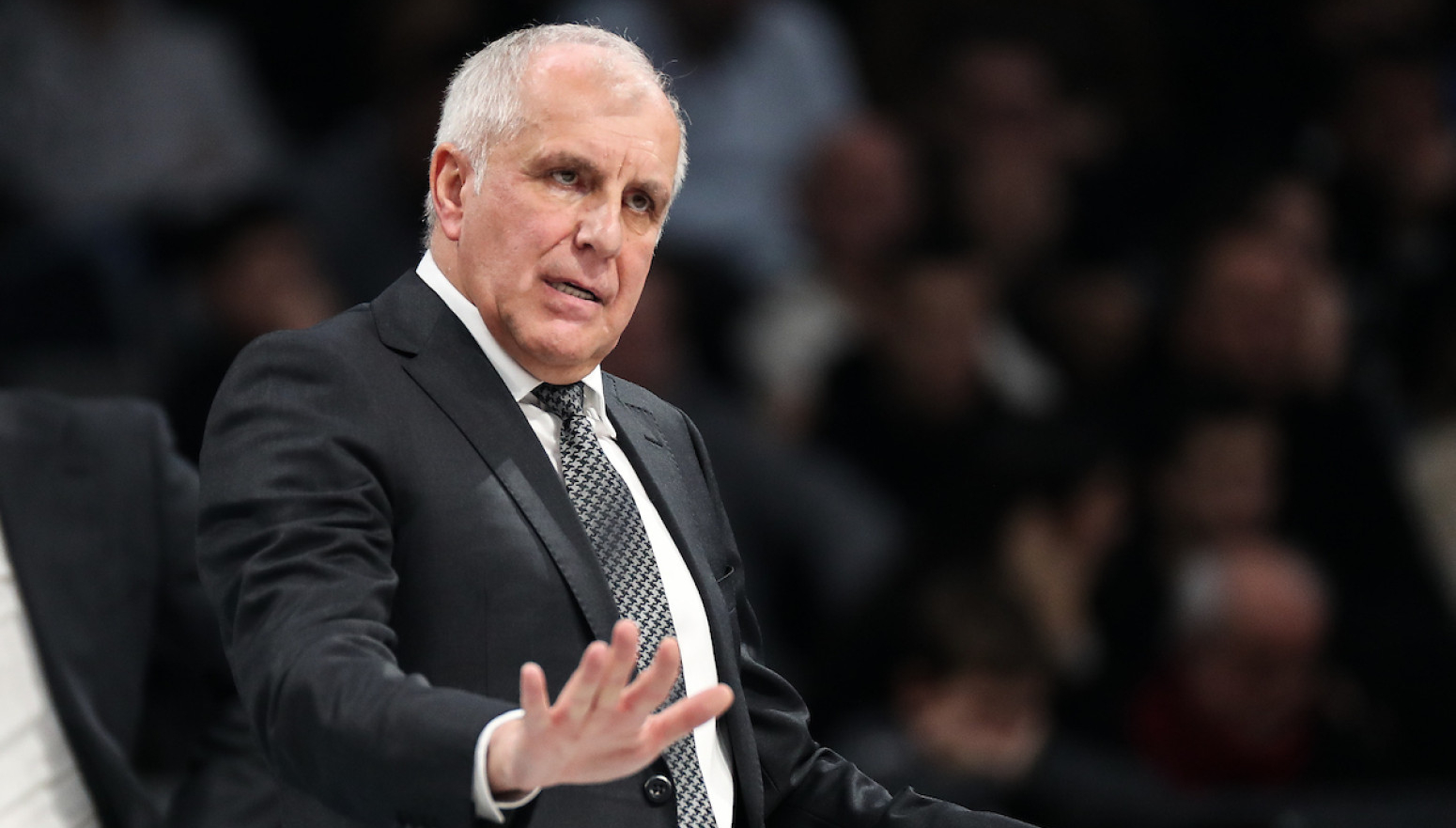 It is now known whom Željko Obradović wanted as his successor VIDEO