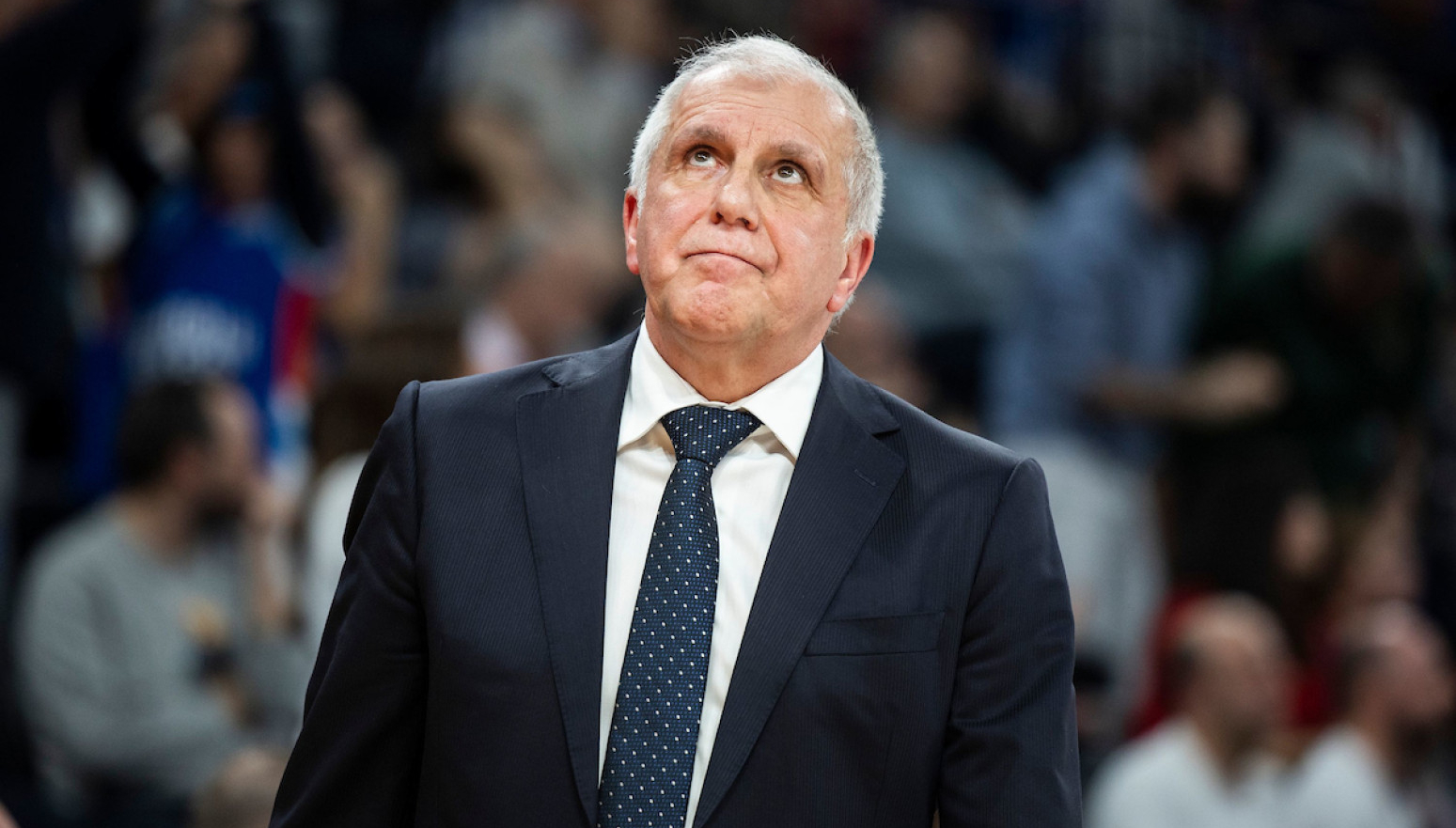 Obradović odgovorio direktoru ABA lige: "Zato mi i jeste najdraža"