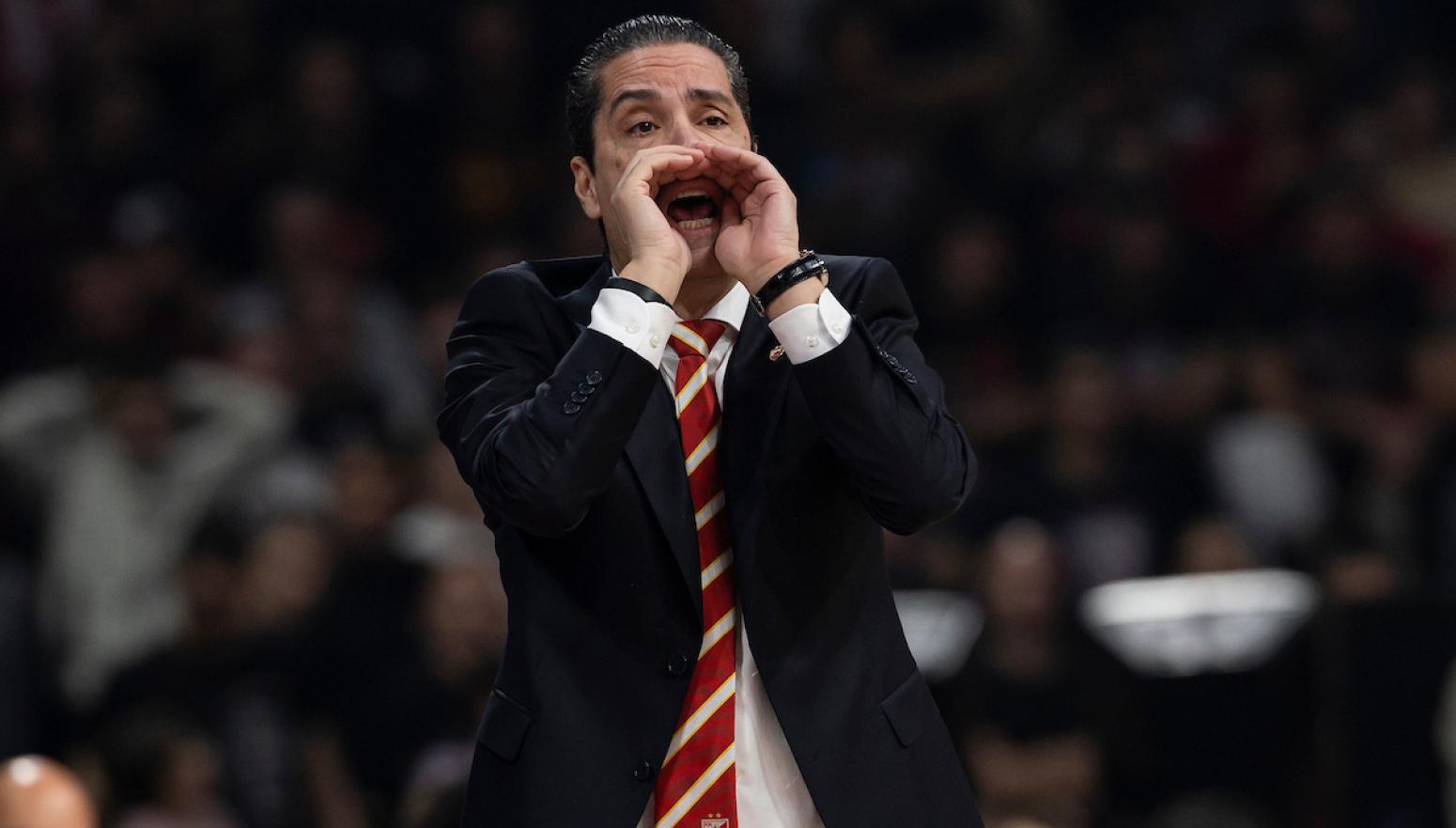 Zvezda desetkovana! VIDEO