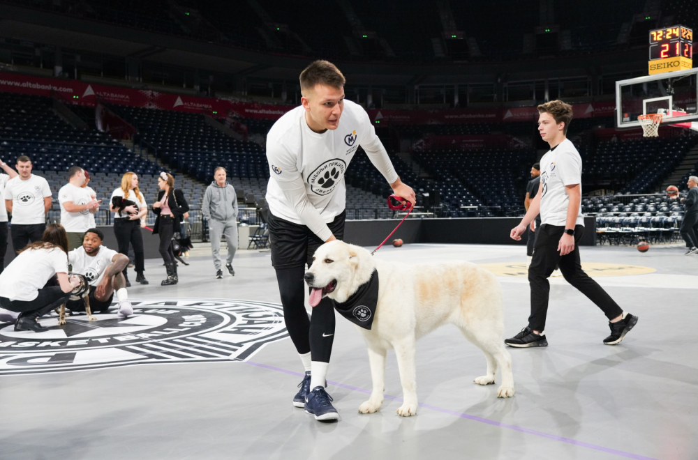Pružite im dom, a oni će vama ljubav: Crno-beli ugostili pse iz prihvatilišta FOTO