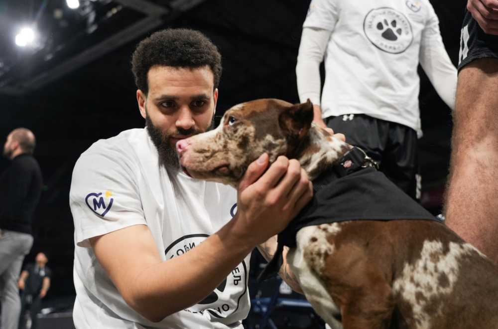 Pružite im dom, a oni će vama ljubav: Crno-beli ugostili pse iz prihvatilišta FOTO