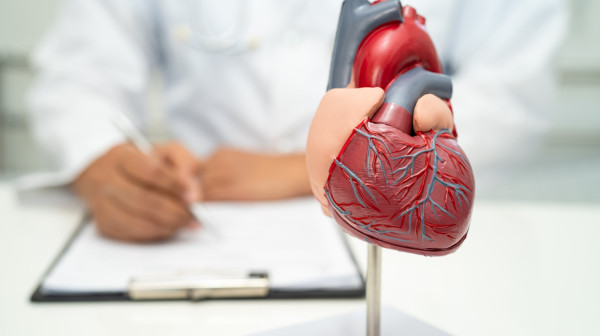 Nisu samo začepljene arterije problem: Otkriveni novi uzroci srčanog udara