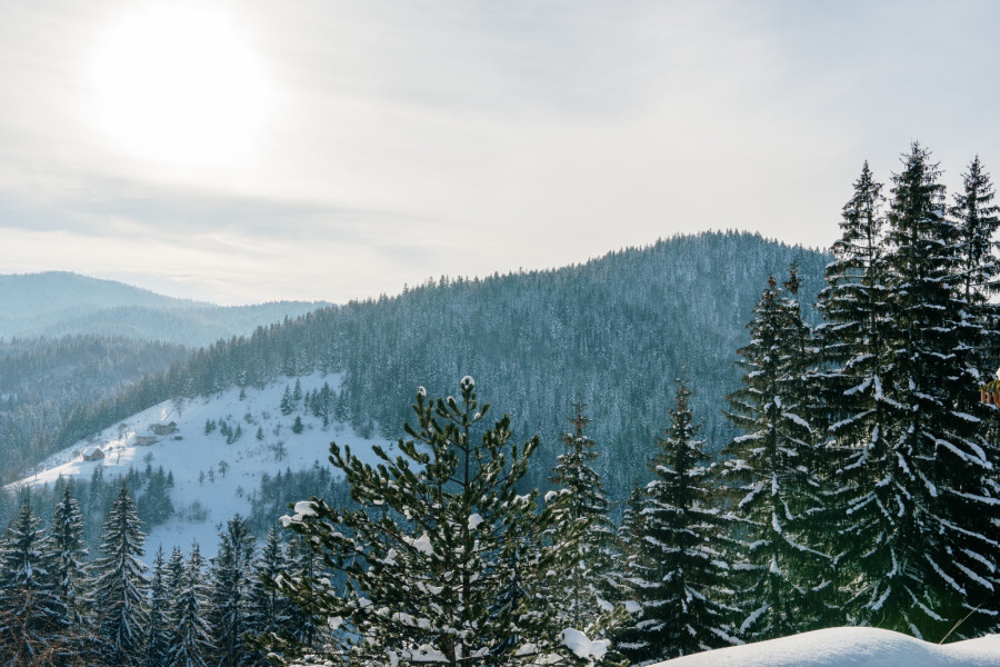 Skijanje u Srbiji najpopularnije na ovim planinama: Evo kada počinje sezona FOTO