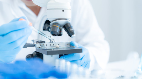 Naučnici stvorili jajne ćelije od ljudske kože FOTO