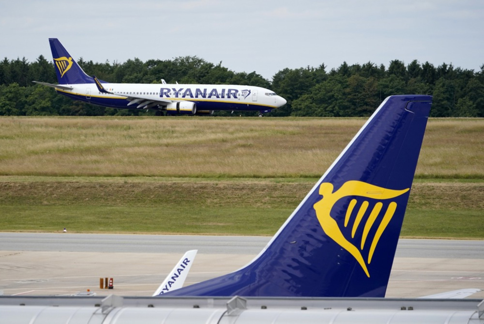 Rajaner otkrio uzrok drame sa Srbinom u avionu: Ovo je moglo da izazove katastrofu
